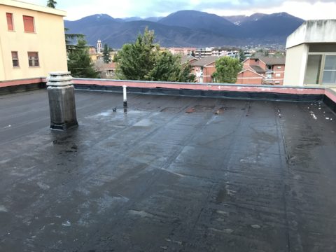 IMG_0855